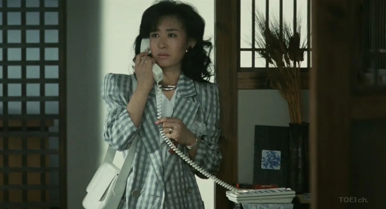 Wakarenu riyû (1987)