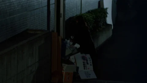 Iyarashii hitozuma: Nureru (1994)