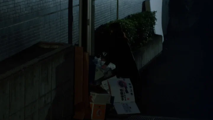 Iyarashii hitozuma: Nureru (1994)