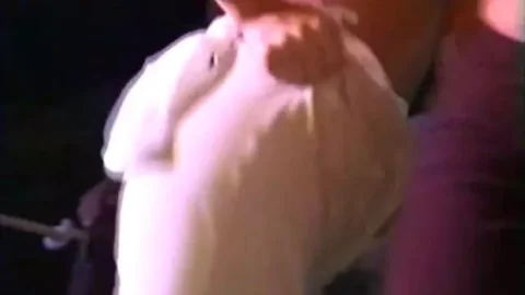 Real Adventures 07 (1999)