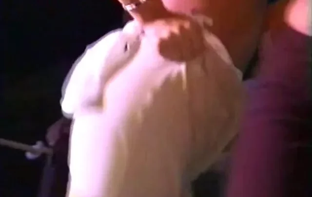 Real Adventures 07 (1999)