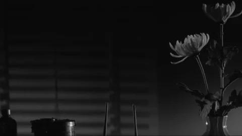 Shojo sôshitsu (1965)