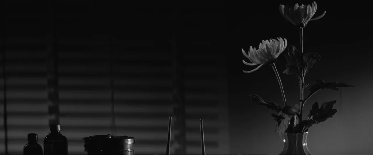 Shojo sôshitsu (1965)