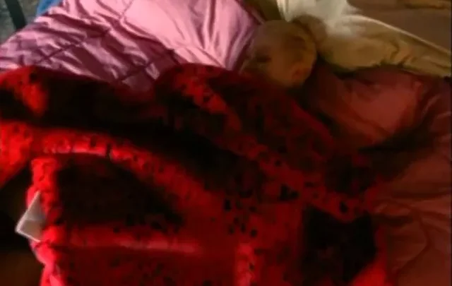 Hot Line – Season 2 Episode 7: Shutterbugs (1996)