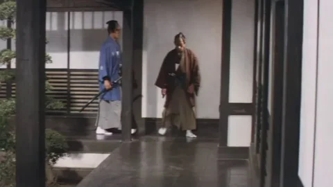 Seitô Nezumi Kozô (1972)