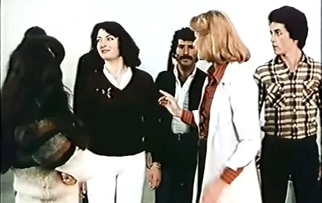 La trombata – Quattro ladroni a caccia di milioni (1979)